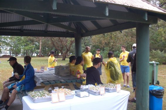 M-A-D event 006
