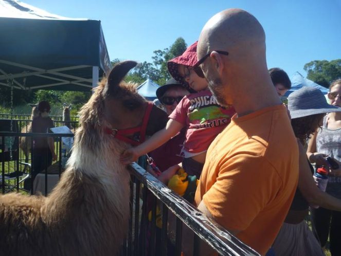 cooroy-fusion-festival-2015-22