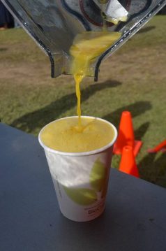 cooroy-fusion-festival-2015-queensland-3