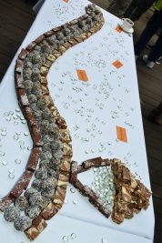 noosa-catering-1