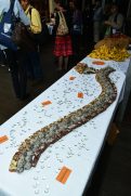 noosa-catering-5