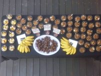 you-can-farm-noosa-catering-9